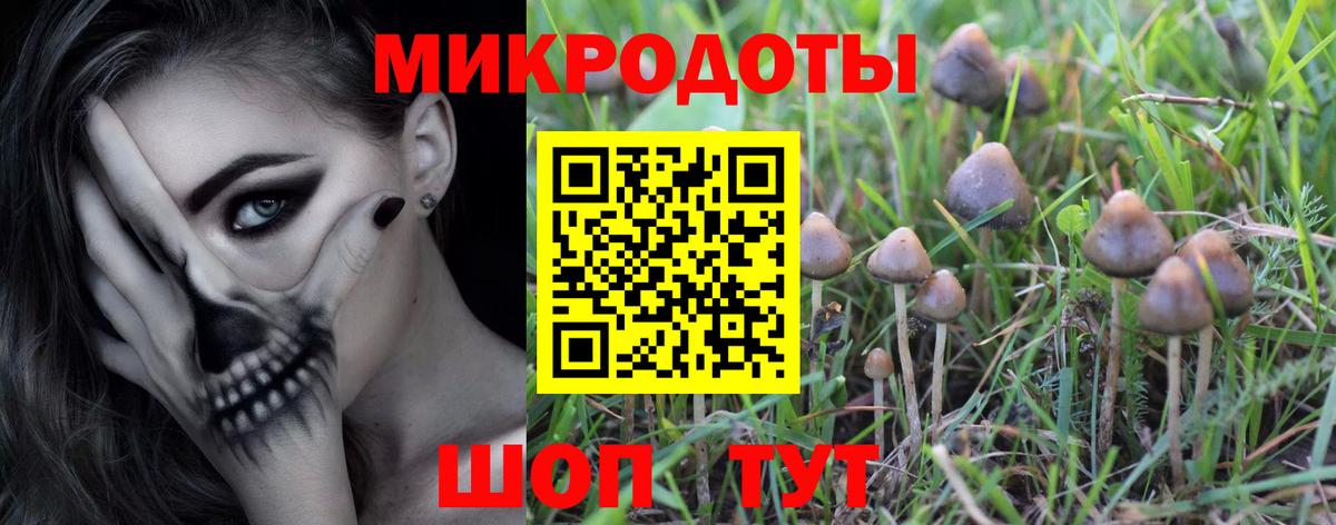 купить наркотики цена  Галлюциногенные грибы прущие грибы  Вход с VPN  Галлюциногенные грибы GOLDEN TEACHER  Саров 