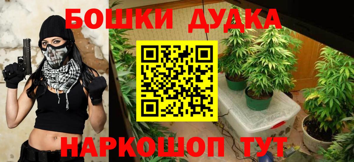 Бошки Шишки конопля  Бошки марихуана индика  Саров  Вход с VPN  Бошки Шишки THC 21% 